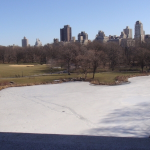 Frozen Lake