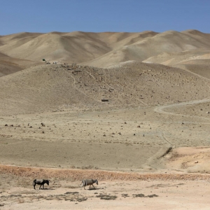 Bamyan