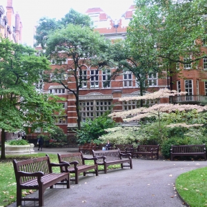 Mt Street Gardens