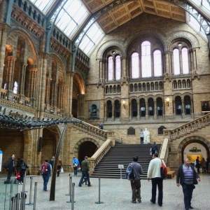 Natural History Museum