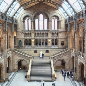 Natural History Museum