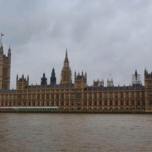 The Palace of Westminster