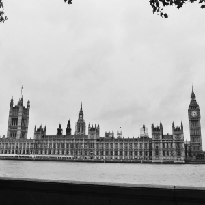 The Palace of Westminster