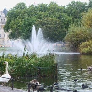 St. James' Park