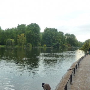 St. James' Park