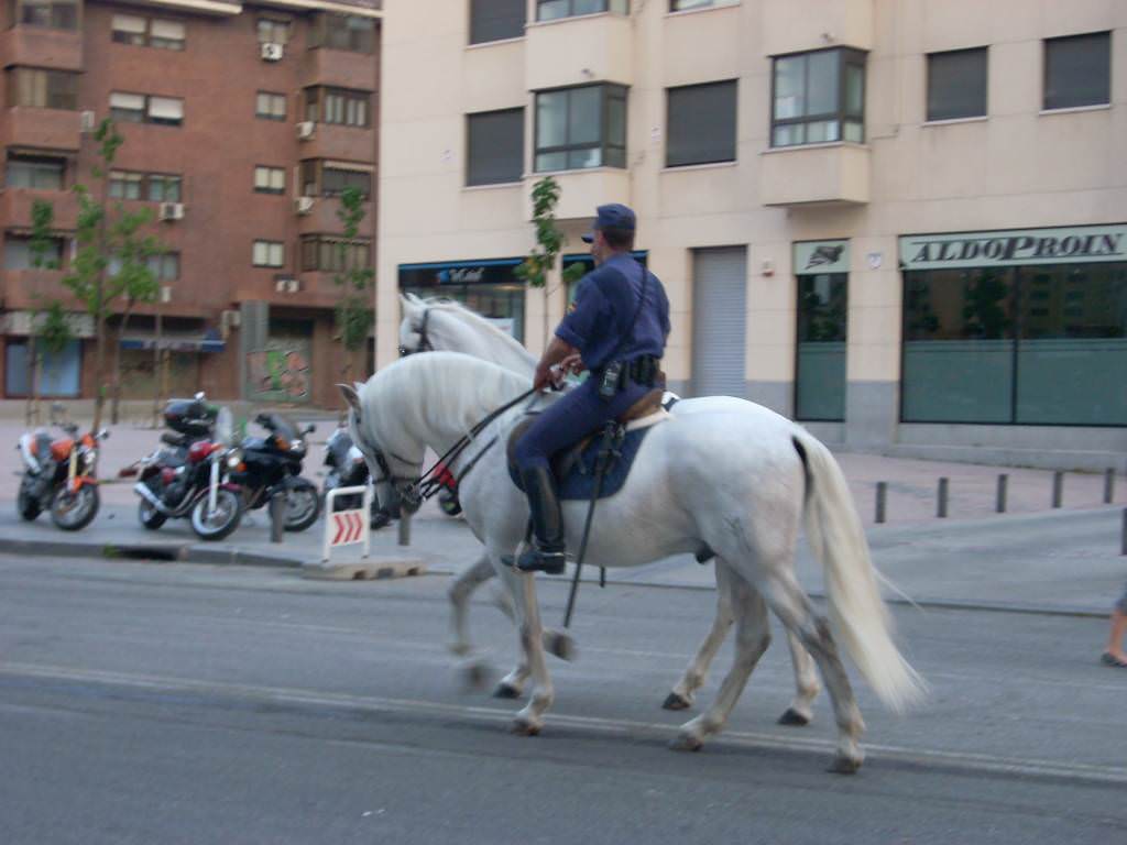 Έφιππος