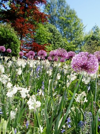 Ανθισμένο Keukenhof 3/5/2011