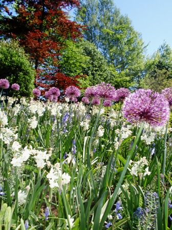 Ανθισμένο Keukenhof 3/5/2011