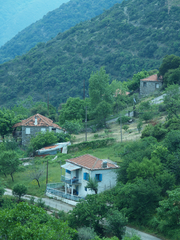 Ανθόφυτο