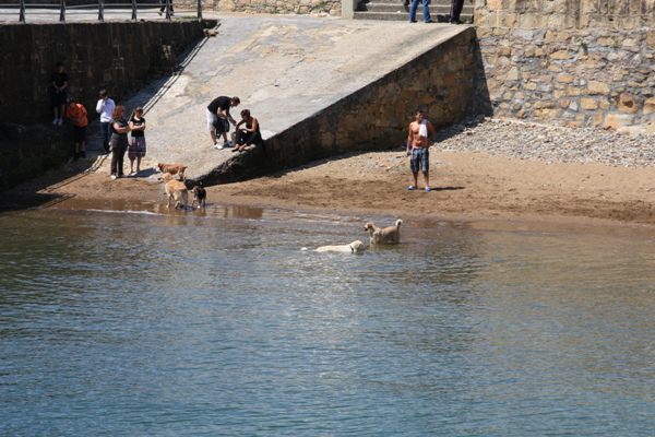 Ανοιξιάτικο Getxo