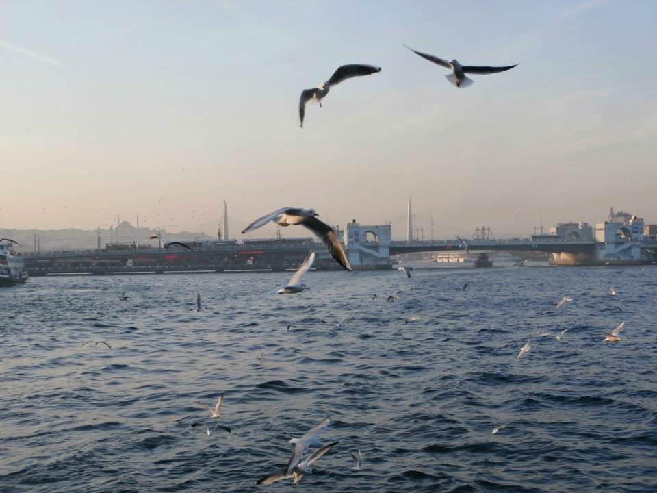 Γεφυρα Γαλατα (Εμινοου)