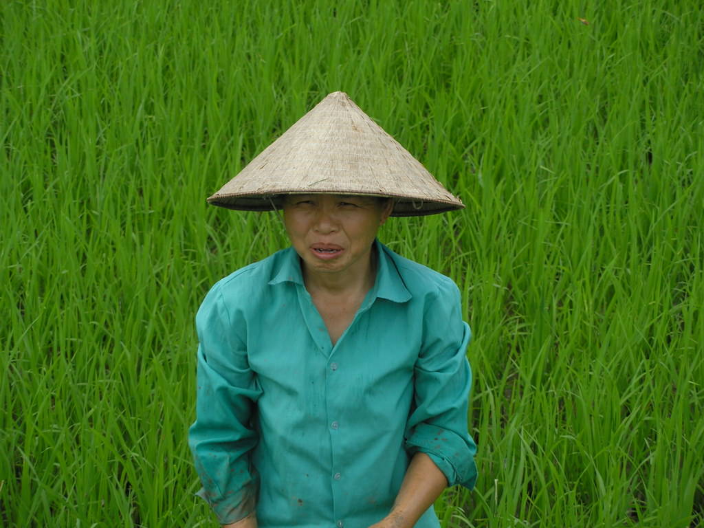 Γυναίκα - 1 - Βιετναμ