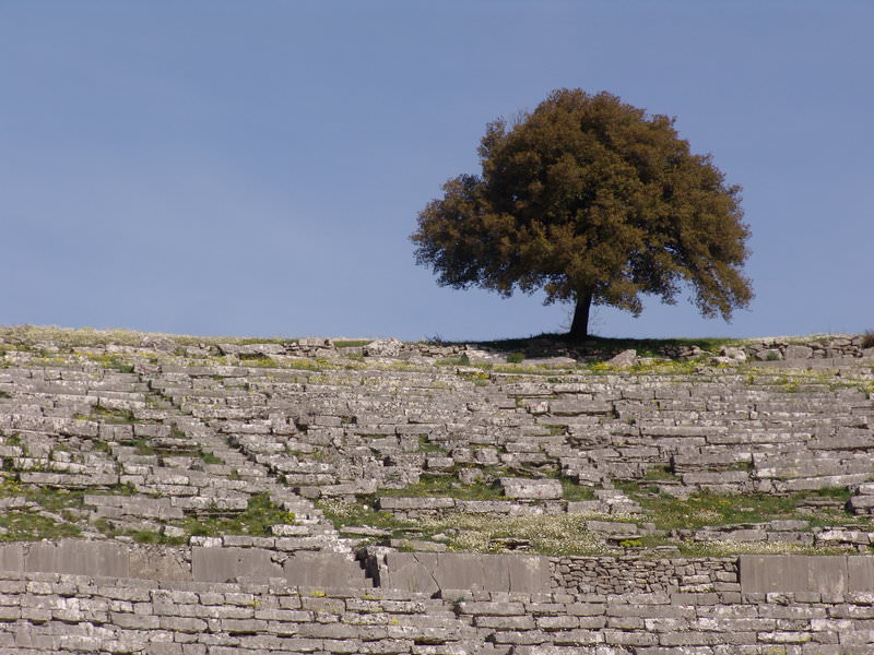 Δελφοί