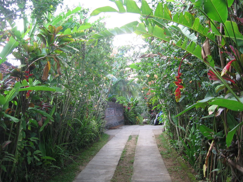 Δρoμάκι στο Ubud