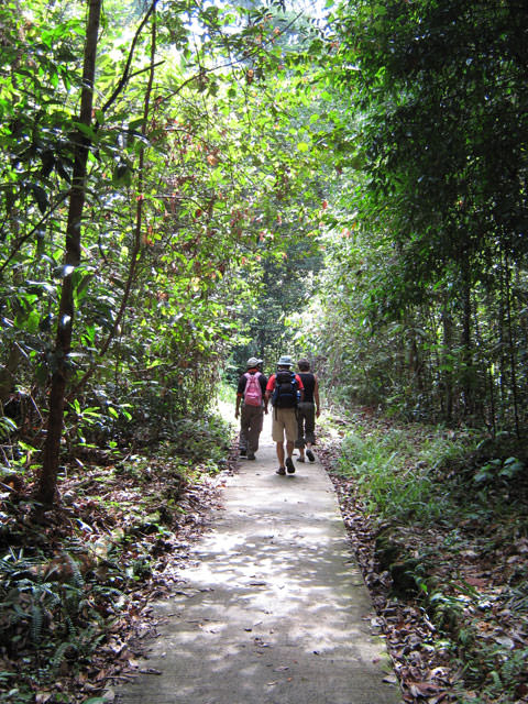 Εθνικό Πάρκο Niah, Sarawak