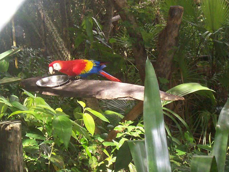 ΖΩΟΛΟΓΙΚΟΣ ΚΗΠΟΣ