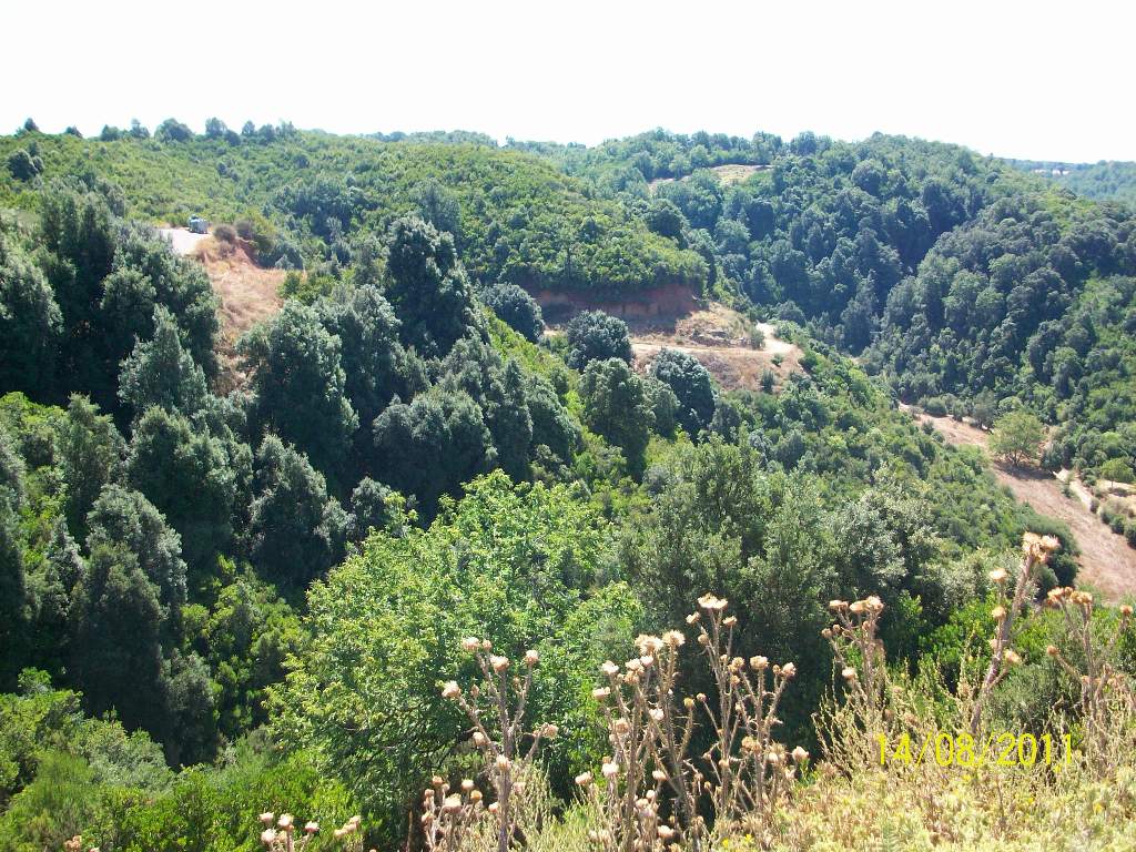 Θέα από χωριό Φολόης