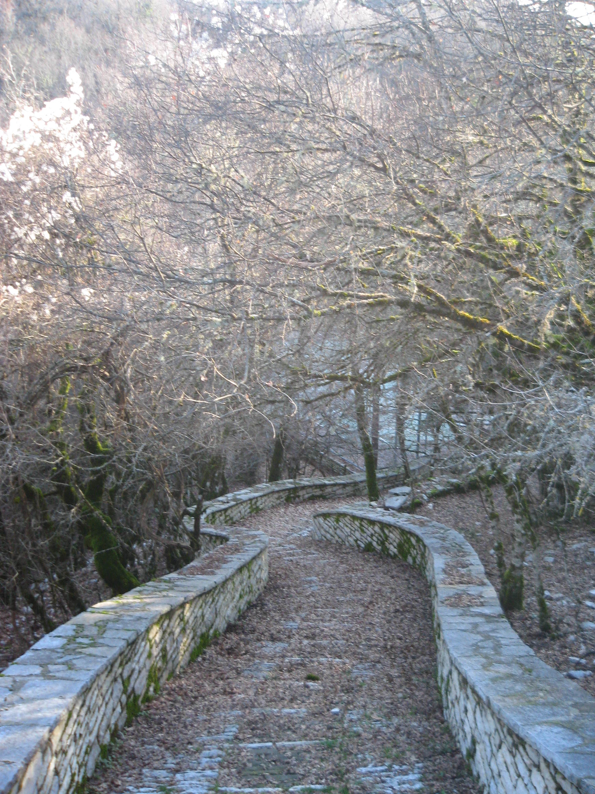 Κάπου στο ζαγόρι.