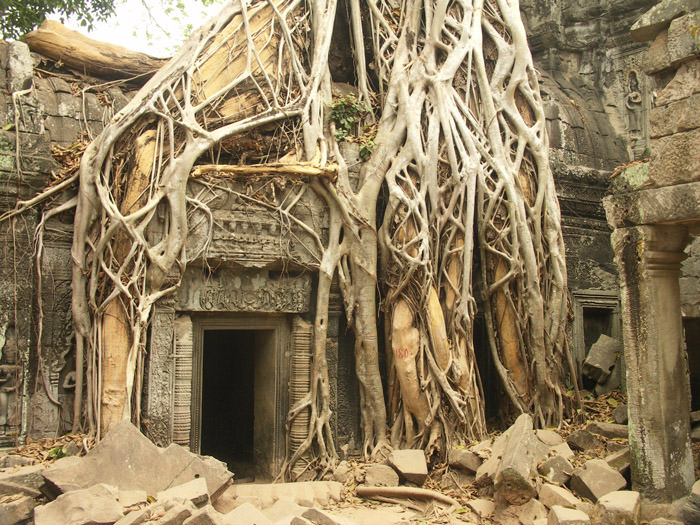 Καμπότζη, Angkor