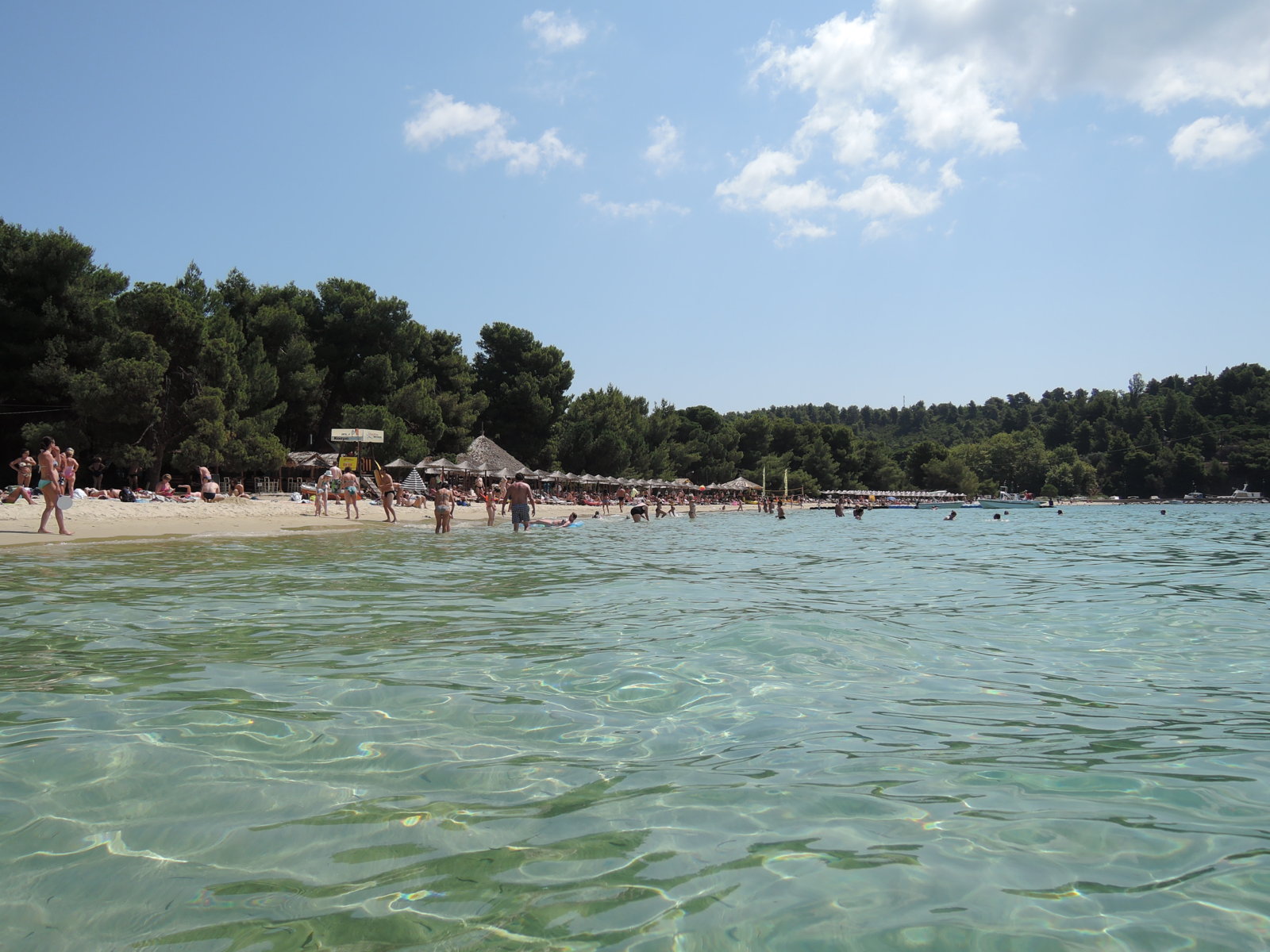 Κουκουναριές