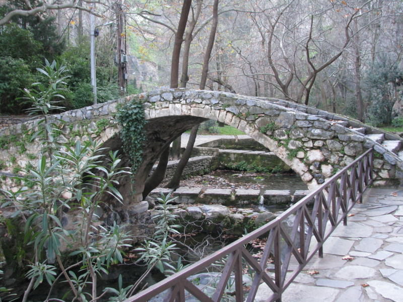 Κρύα,Λιβαδειά