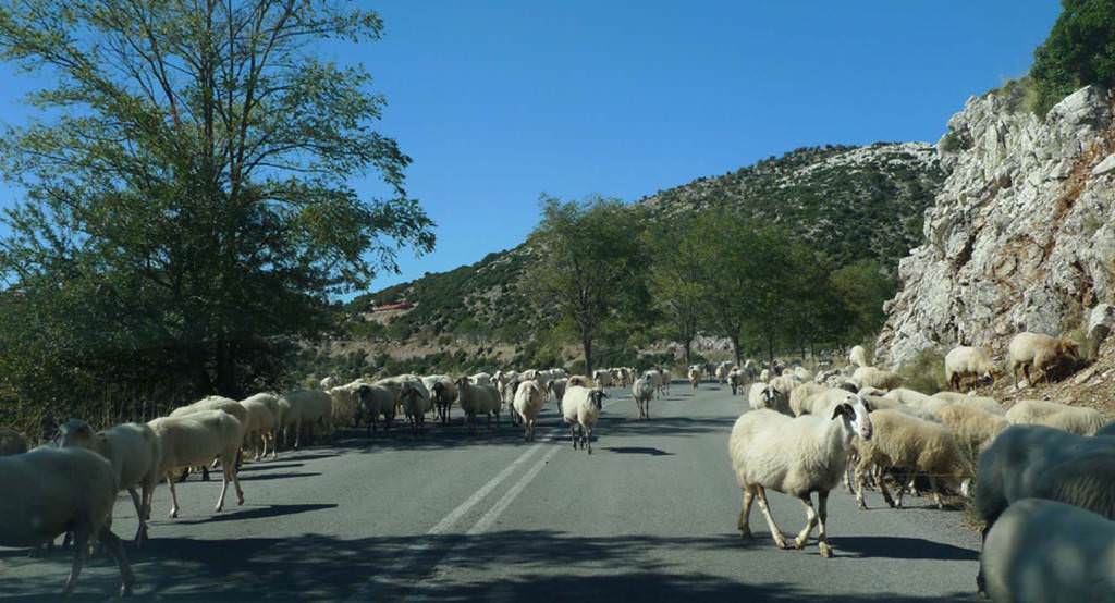 Κυκλοφοριακό στο δρόμο προς τις Βάσσες