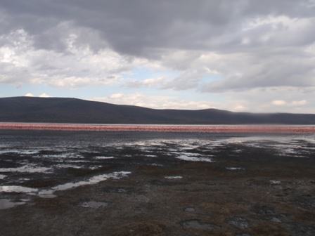 Λίμνη Νακούρου με φλαμίνγκος πριν το ηλιοβασίλεμα