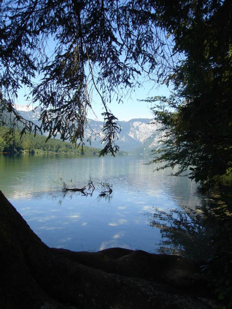 Λίμνη Bohinj