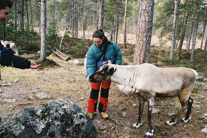 Λαπωνία, Inari