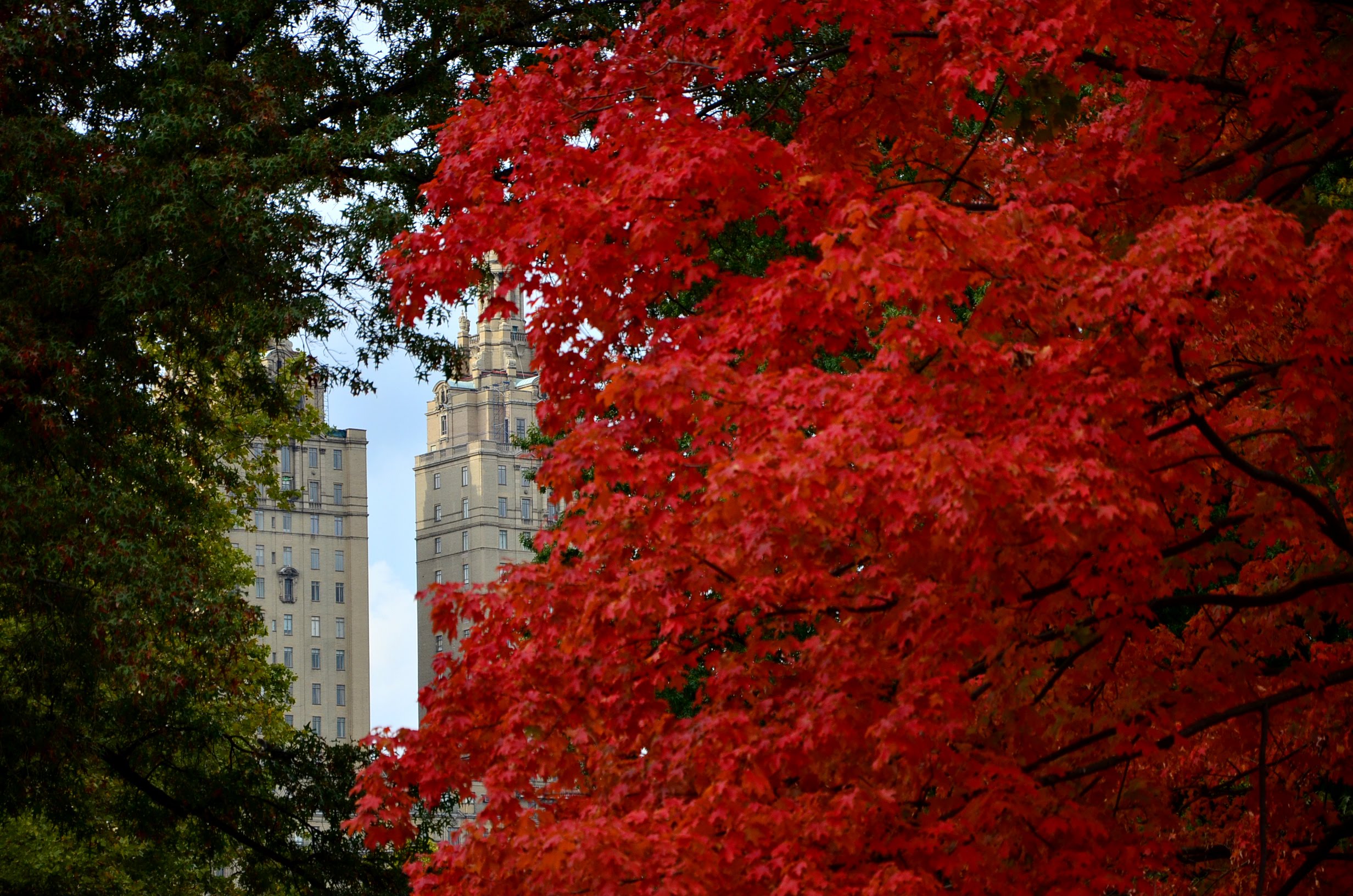 Μια καρδιά στο Central Park