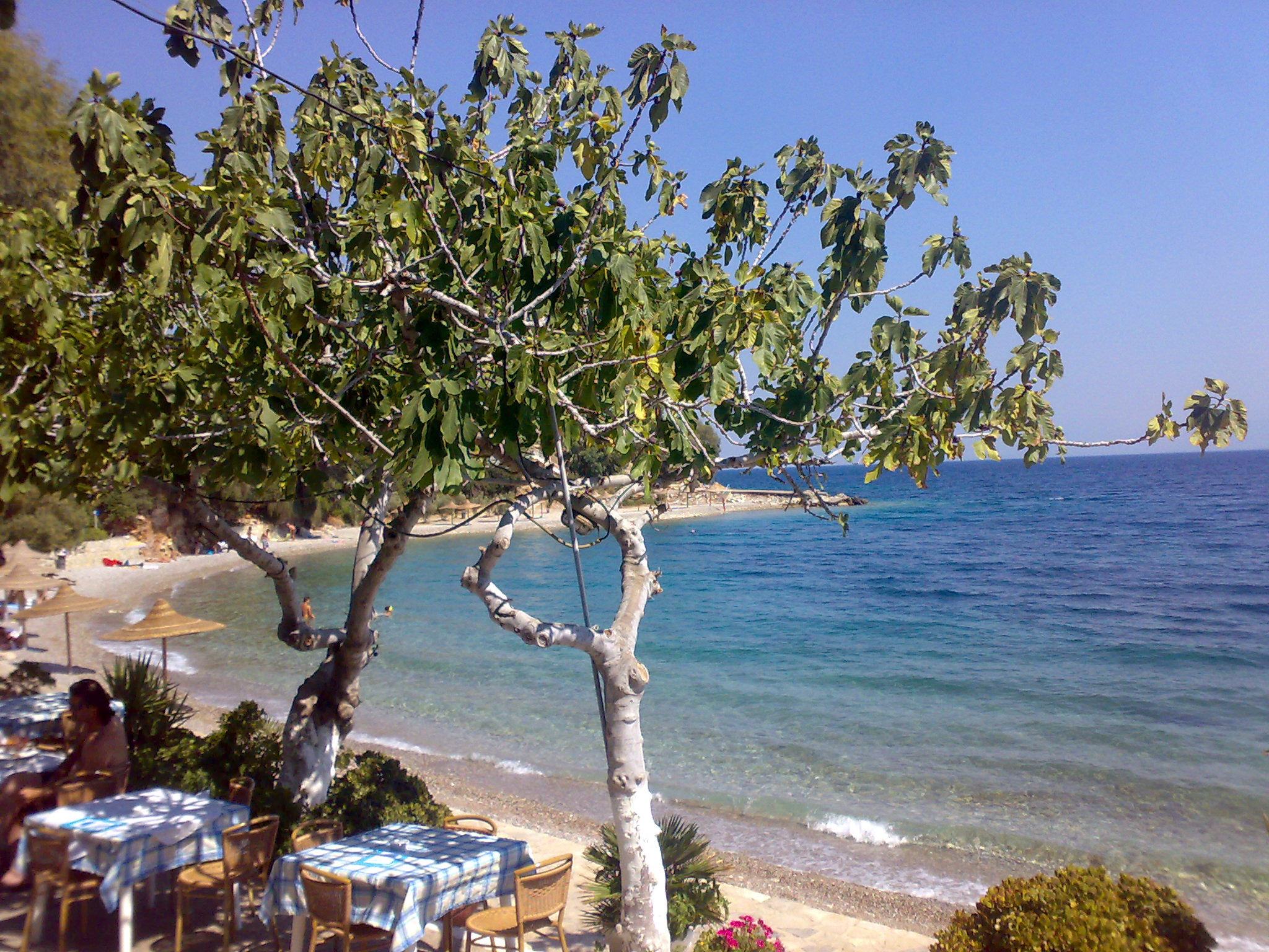 Μοναστηράκι, Ναύπακτος