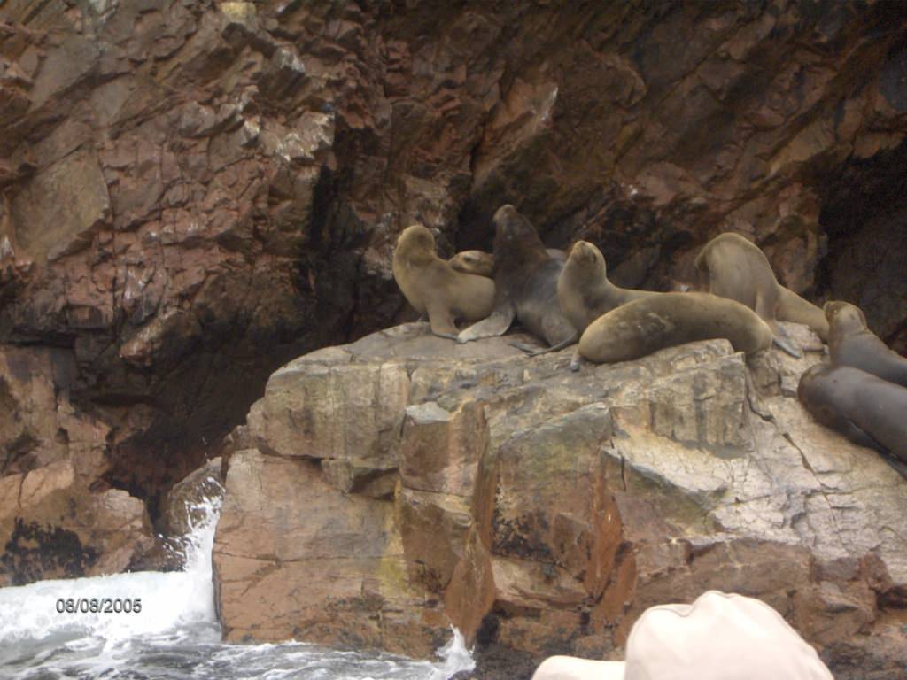 ΝΗΣΙΑ BALLESTAS.