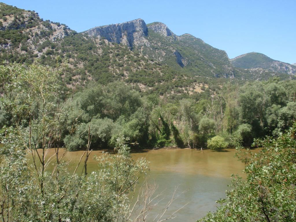 Νέστος και πάλι