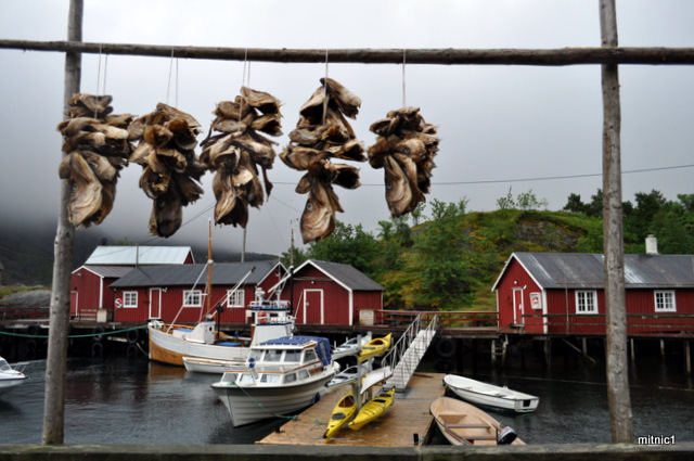 Νasfjord, Lofoten