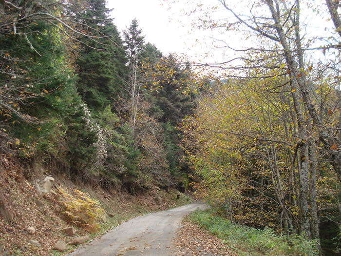 Ορεινή Ναυπακτία