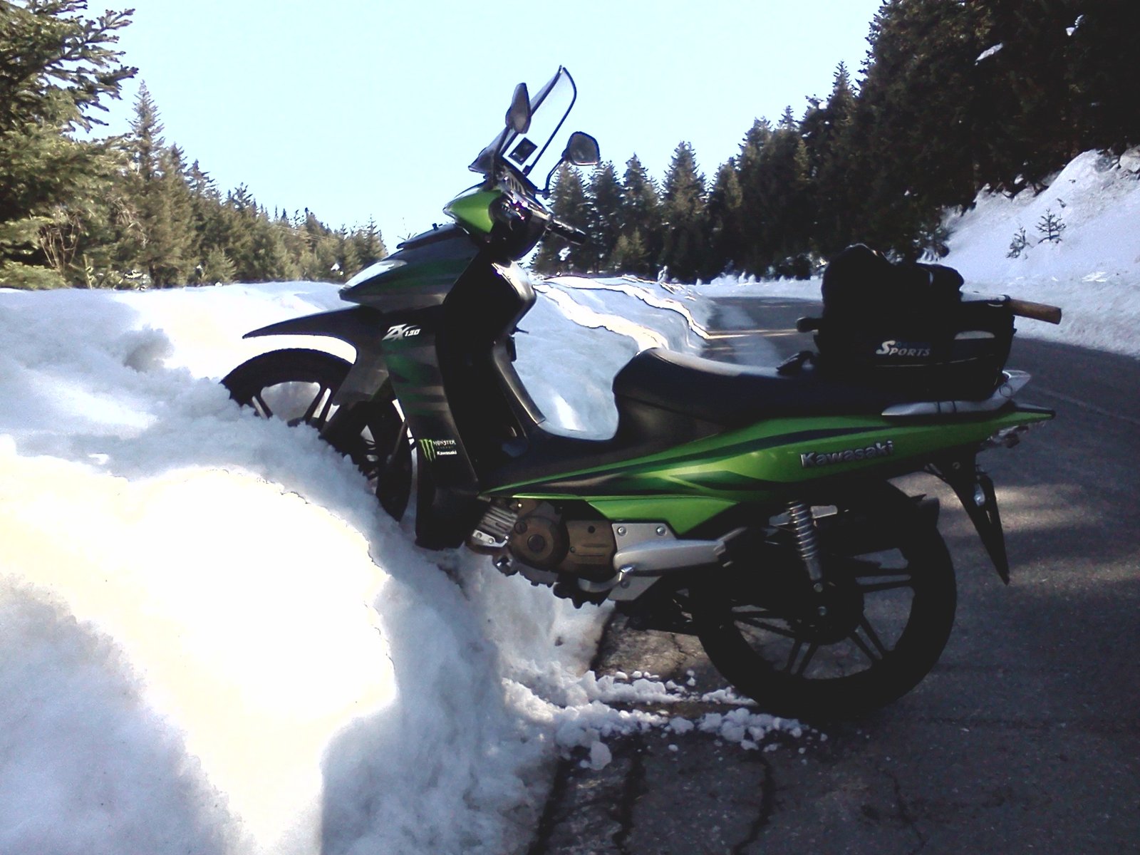 Ορεινή φωκιδα