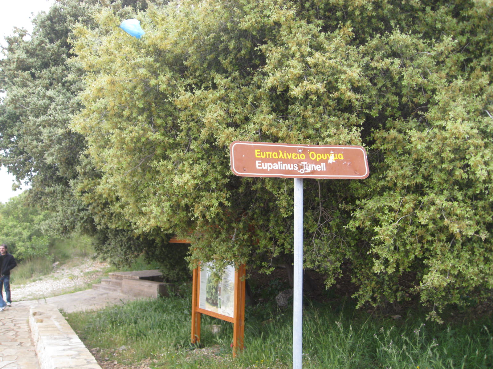 Ορυγμα