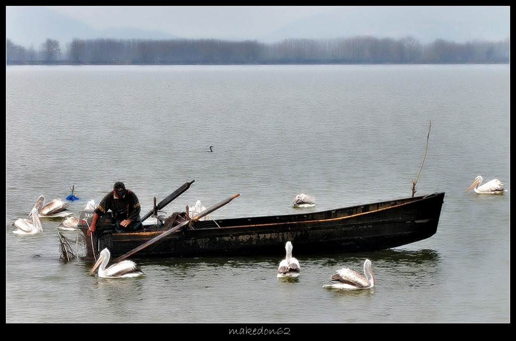 Ο Ψαράς της Κερκίνης με τη παρέα του!