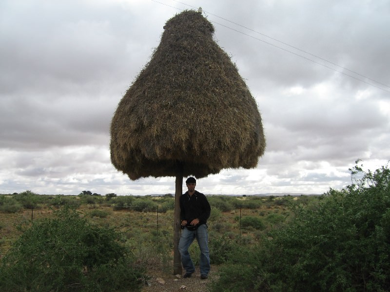 (ΠΡΟΣΟΧΗ)ΔΕΝ ΕΙΝΑΙ ΚΑΛΥΒΑ ΕΙΝΑΙ ΦΩΛΙΑ