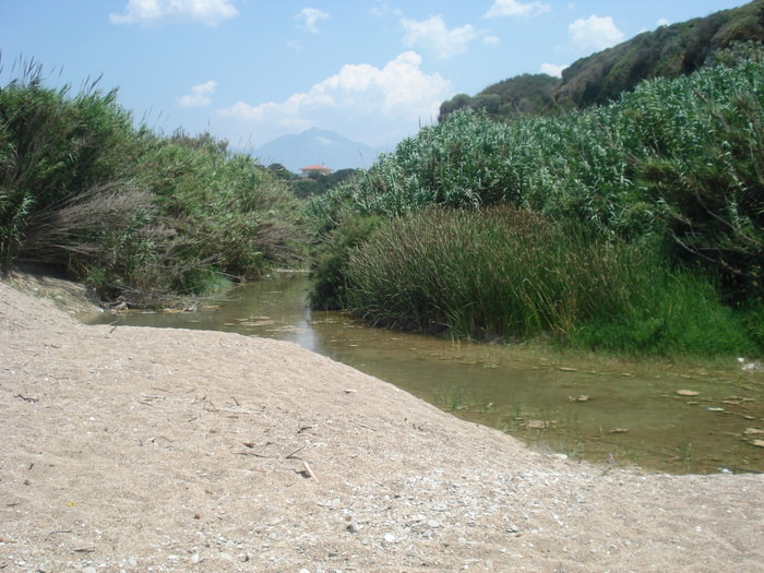 Παραλία Στόμιο