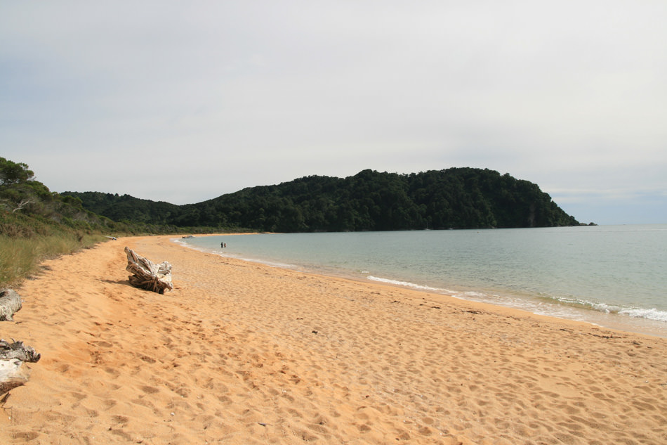 Παραλία Totaranui, Πάρκο Abel Tasman