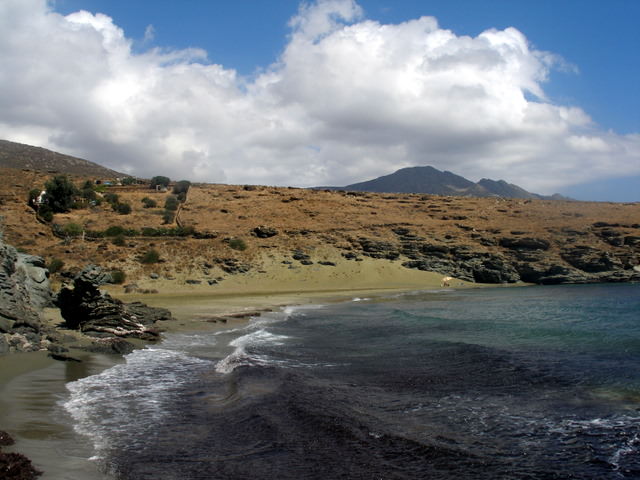 Παχιά άμμος