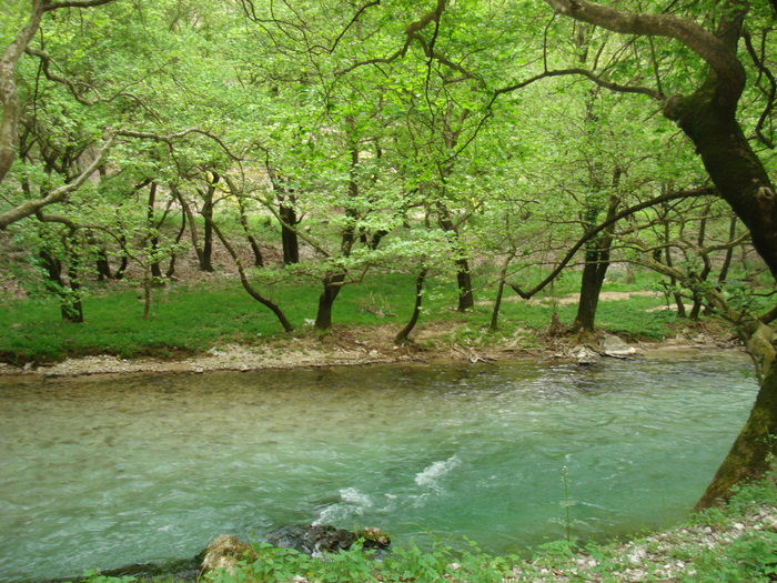 Πλατανάκια - πηγές Λούρου