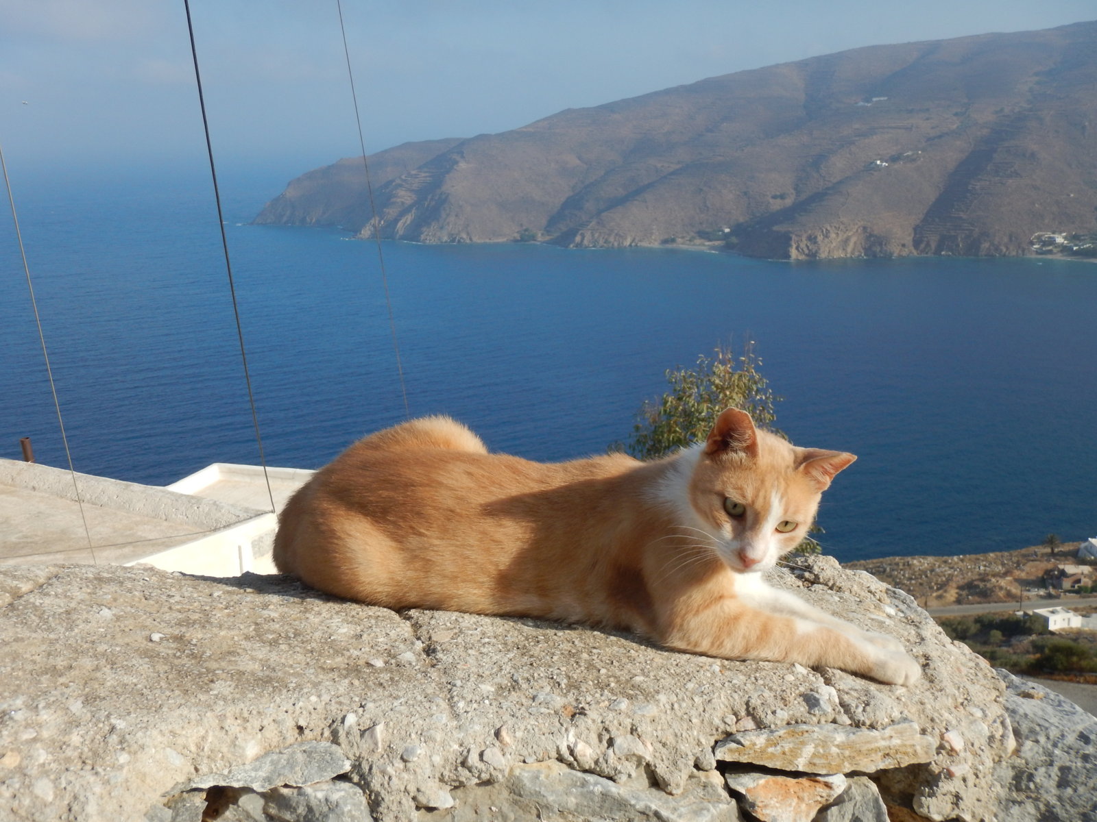 Ποταμός