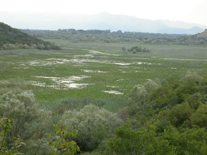 Προστατευμένος υδροβιότοπος στο νότιο μέρος της χώρας