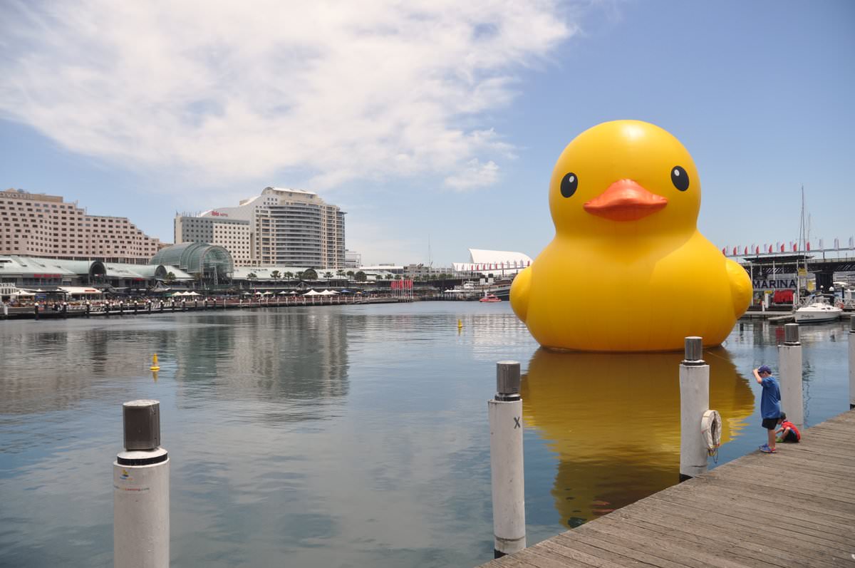 Πωπω ένα παπίιιιι! Στο Darling Harbour