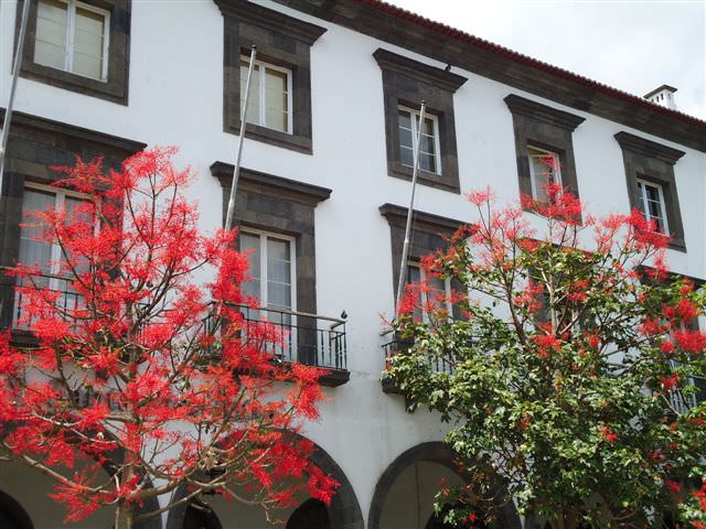 Σάο Μιγκέλ (Ponta Delgada)