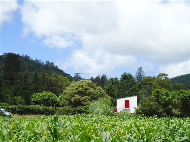 Σάο Μιγκέλ (Sete cidades)