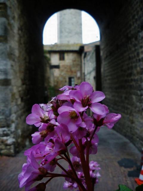 Σαν Τζιμινιάνο