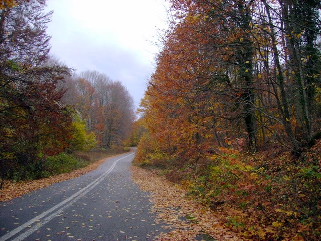 Στον  ορεινό δρόμο Αρναίας-ολυμπιάδας